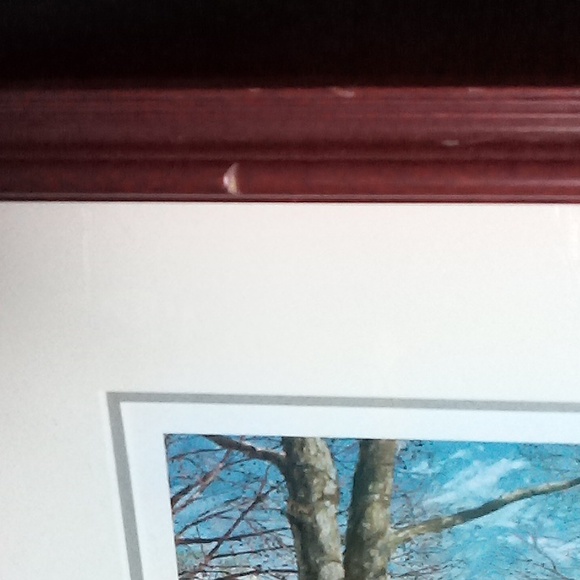 William Magnum artwork framed matted North Carolina - Picture 4 of 6